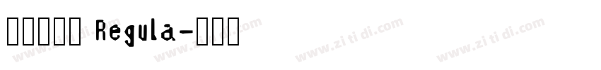 点字油漆体 Regula字体转换